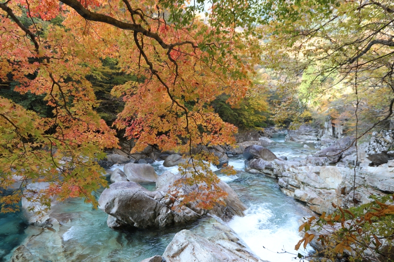 奈良県 天川村