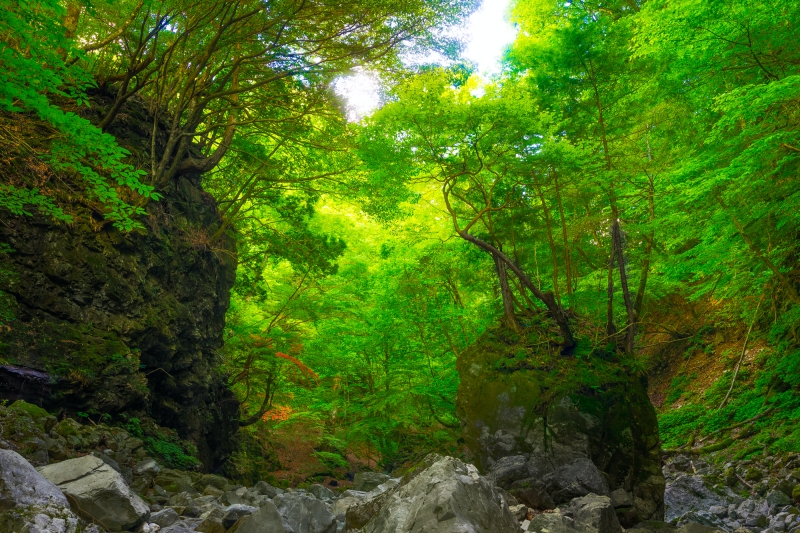 奈良県 天河神社